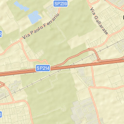 Pregnana Milanese Street Map