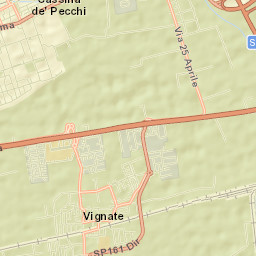 Vignate Street Map