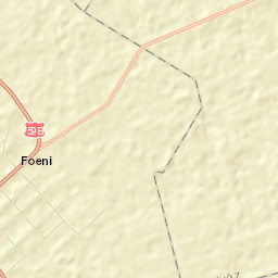 Foeni Street Map