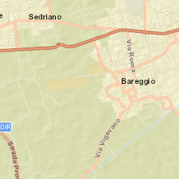 Bareggio Street Map