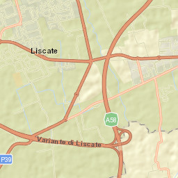 Liscate Street Map