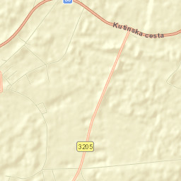 Budaševo Street Map