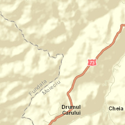 Comuna Moieciu Street Map