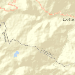 Lopătari Street Map