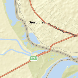 Giurgiuleşti Street Map
