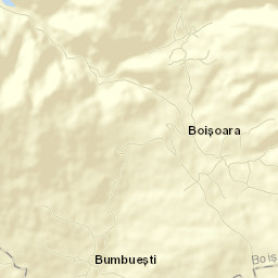 Boişoara Street Map