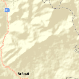 Brăeşti Street Map