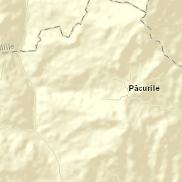 Căneşti Street Map