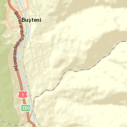 Poiana Țapului Street Map