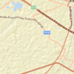 Tronzano Vercellese Street Map