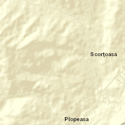 Scorţoasa Street Map