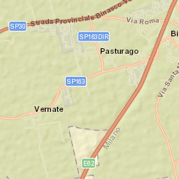 Binasco Street Map
