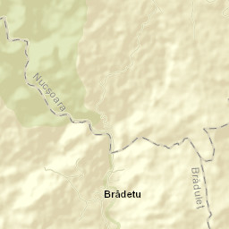 Nucşoara Street Map