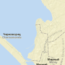 Mirny Street Map