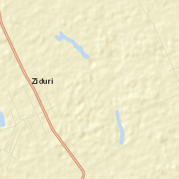 Ziduri Street Map