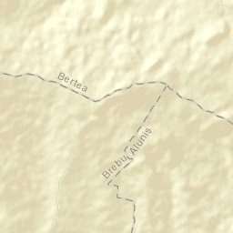 Pietriceaua Street Map