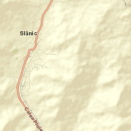 Oraş Slãnic Street Map