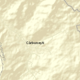 Cărbuneşti Street Map