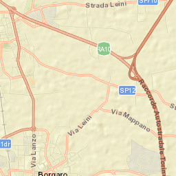 Borgaro Torinese Street Map