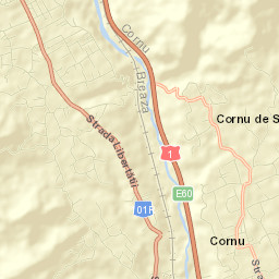 Cornu de Sus Street Map