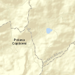 Poiana Copăceni Street Map