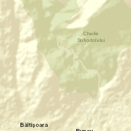 Comuna Runcu Street Map