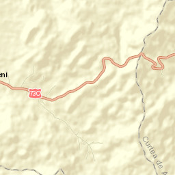 Tigveni Street Map