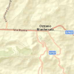 Ozzano Monferrato Street Map