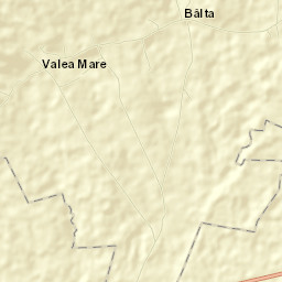 Bâlta Street Map