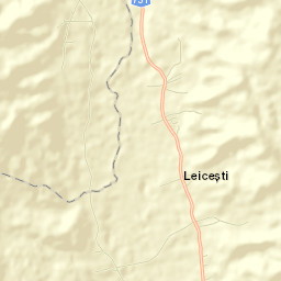 Leicești Street Map