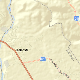 Băneşti Street Map