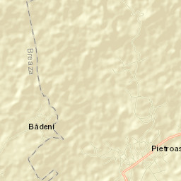 Pietroasele Street Map
