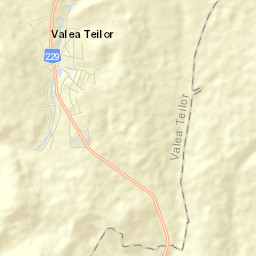 Valea Teilor Street Map