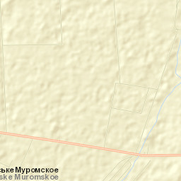 Muromskoye Street Map