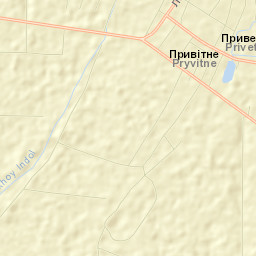 Privetnoye Street Map