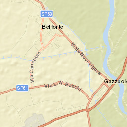 Gazzuolo Street Map
