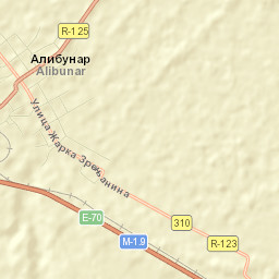 Alibunar Street Map