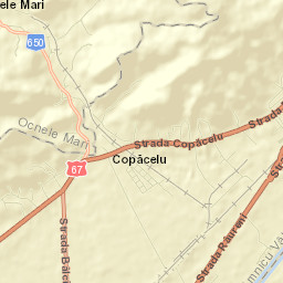 Copăcelu Street Map