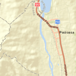 Pucioasa Street Map