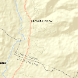Gornet-Cricov Street Map