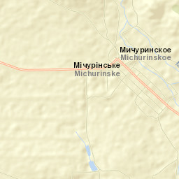 Michurinskoye Street Map