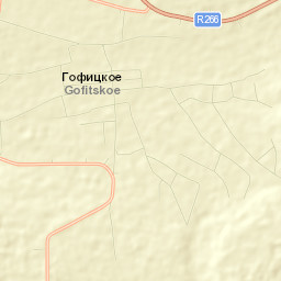 Gofitskoye Street Map