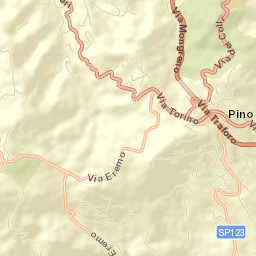 Pino Torinese Street Map