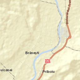 Comuna Brăneşti Street Map