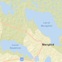 Murighiol Street Map