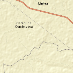 Scoarţa Street Map