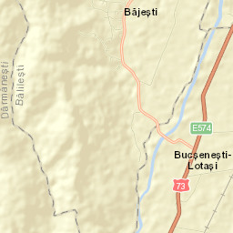 Băjești Street Map