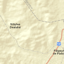 Filipeştii de Pădure Street Map