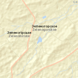 Zelenogorskoye Street Map