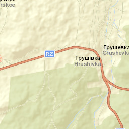 Grushevka Street Map